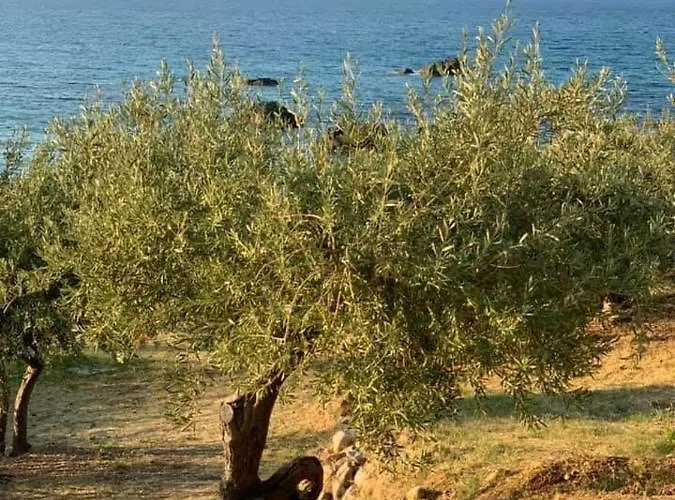 Ogliastro Sul Mare - Sleep And Dream * צ'פאלו